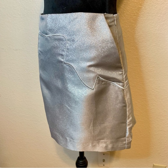 Silver Mini Skirt - Picture 6 of 14